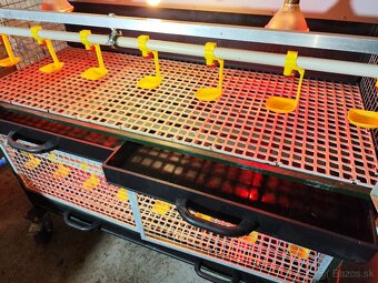 Špičkové odchovne pre hydinu – komplet vybavené - 4