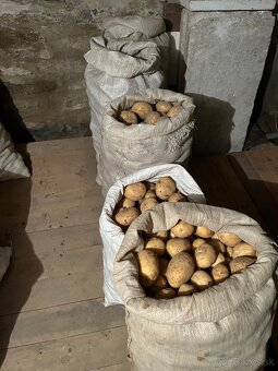 Konzumné zemiaky  – vhodné aj na zimné uskladnenie - 4