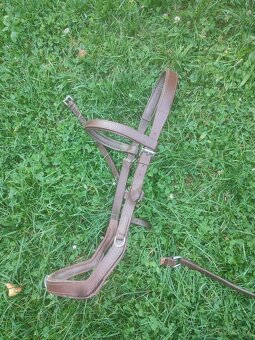 Staré/pokazené uzdečky - 4