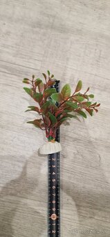 Filter a dekorácia do akvária - 4