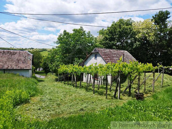 Ponorte sa do sveta vína a histórie v malebnej obci Vinica - 4