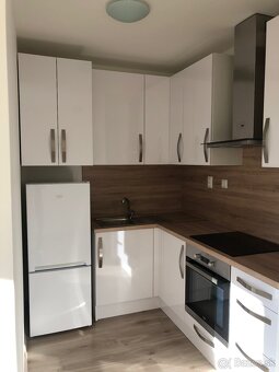 Prenájom jednoizbový byt - 4