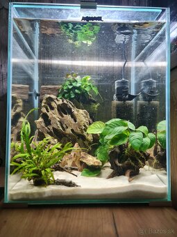 Nano akvárium - 4