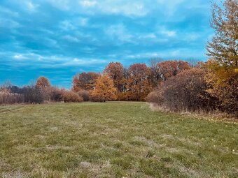 Pozemok - Lúka, Malé Leváre, 26 385 m² - 4