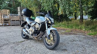 Honda Hornet CB600F (21 000Km) r.v. 2011 - 4