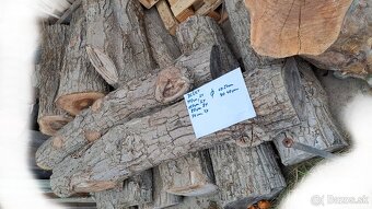 Predam orechove drevo - 4