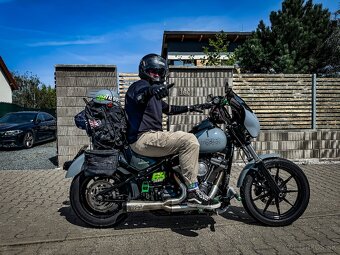 Harley-Davidson FXLR Low Rider M8 - 4