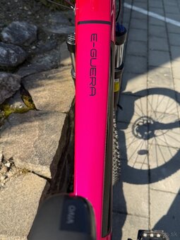 Elektrobicyklov, E- BIKE, crussis - 4