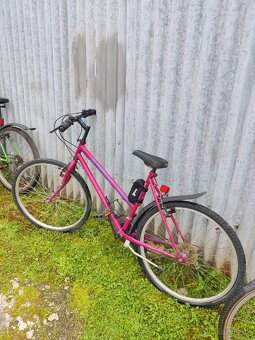 Bicykle (nálezový stav) - 4