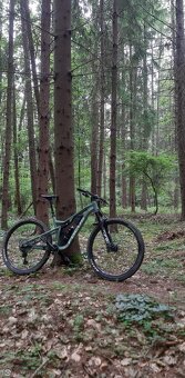 Focus Thron 6.9 29Di L45 Green - 4