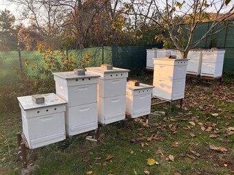 Med, propolis, sviečky - 4