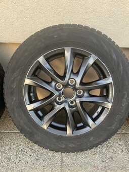 Zimna sada MAZDA R16 - 4