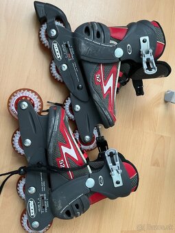 kokieskove korcule roces - 4