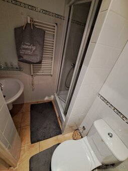 Pekný1-izbový byt v centre Košíc - 470 euro komplet prenájom - 4