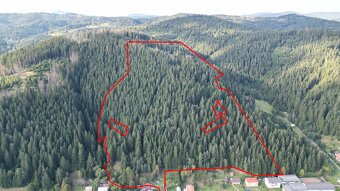 Korňa – 20.800 m2 LES s prístupom z obce - 4