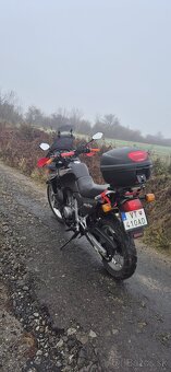 Honda transalp 600 A2 - 4