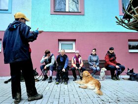 Výcvik, socializácia psov a ďalšie - 4