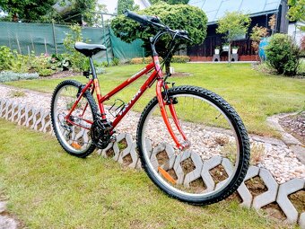 Bicykel Vector-Cobra - 4
