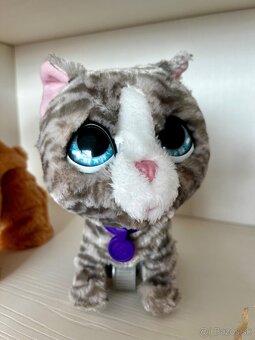 Fur Real – Interaktívne zvieratko: Medvedik, Kengura, Mačka - 4