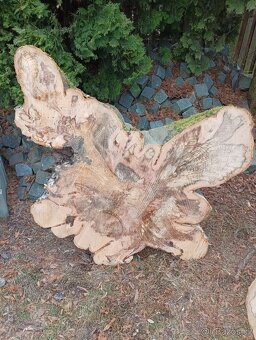 Suché koláče z Habra a Buka - 4