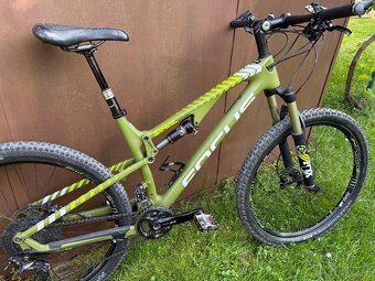Predam Focus Spine karbon - 4