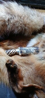 Vabnička, zajačie vrešťadlo - 4