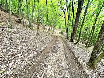 Pozemok na samote v obci Vyhne (Žiar nad Hronom) - 4