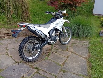 Yamaha WRR 250 - 4