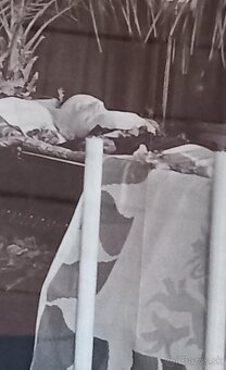 Dobový obraz úmrtie T.G.Masaryka - 4