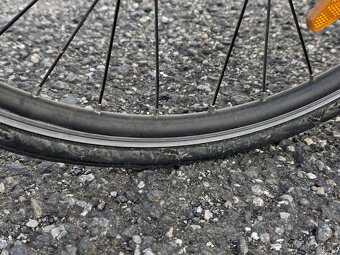 Bicykel stepper Batavus - 4