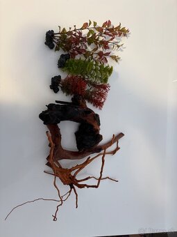 54l akvarium s vybavou - 4