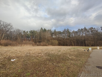 Výnimočný pozemok pod lesom, Malá Ida (Panský les), 595m2 - 4