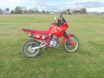 Honda dominator 650 - 4