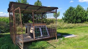 Predám voliéru, búdu a prepravnú klietku pre psa - 4