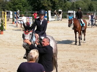 Predám žrebnú kobylu - 4