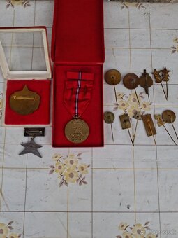 Odznaky snp partizan partyzan - 4