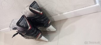 Korčule Bauer č.39 - 4