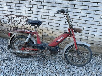 Babetta - 4