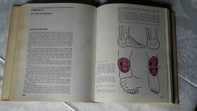 Predám knihu Zdravoveda - 816 strán, 1980, Osveta - 4