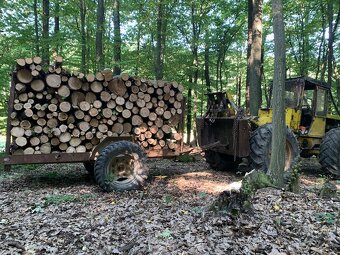 PALIVOVE DREVO METROVICA - 4