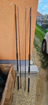 Hell Cat cronos 3.10 cm - 4