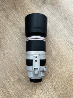 Canon EF 100-400mm f/4.5-5.6 L IS II USM - 4