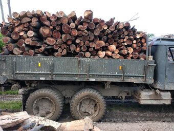Palivové drevo - 4