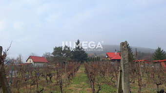 EXKLUZÍVNE NA PREDAJ Chata s vinicou v obci Vinné - 4