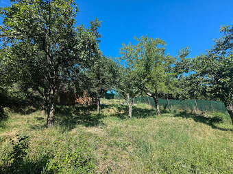 Záhrada a chatka blízko Košíc 3km, záhr. lokal. Vyšný Olčvár - 4