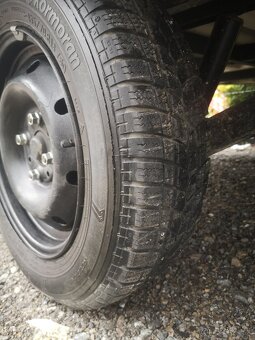 Niewiadow N126 P R E D A N E - 4