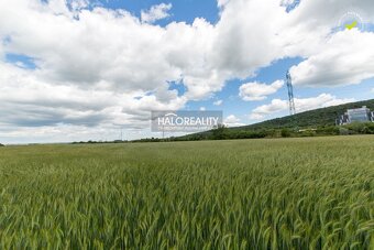 HALO reality - Predaj, záhradný pozemok 5755 m2 Bratislava - 4