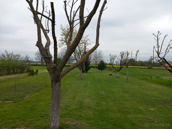 Pozemok/zahrada 1000m2 - 4