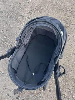 Kočik pre psika - 4