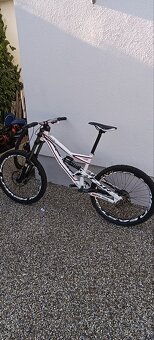 Specialized status 2 - 4